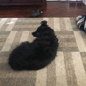 Meet your Posher, Elizabeth